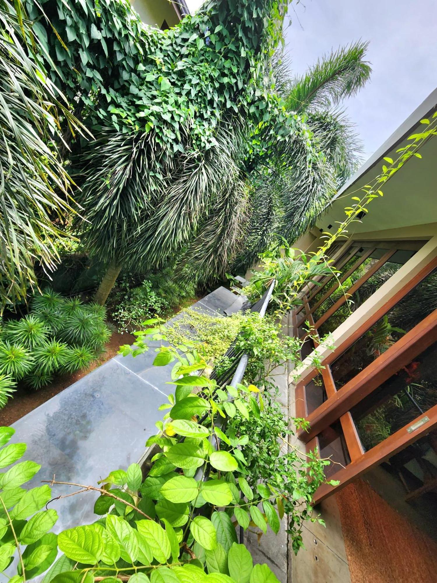 Cozy Luxury Room With Balcony View ! Rajagiriya Exterior photo